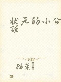 状元的小公主小说