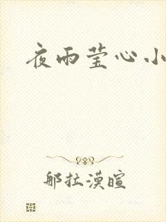 夜雨莹心小说