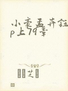 小豪孟卉钰慧三p上79章