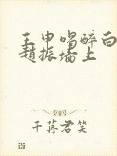 王申喝醉白洁被赵振墙上