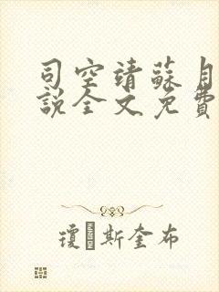 司空靖苏月汐小说全文免费阅读