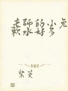 老师的小兔子好软水好多
