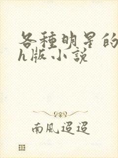 各种明星的综艺h版小说