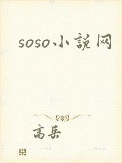 soso小说网