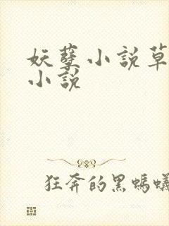 妖孽小说草莓酱小说