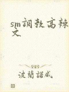 sm调教高辣h文