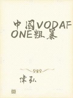 中国VODAFONE粗暴
