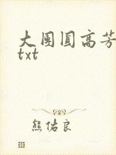 大团圆高芳小说txt