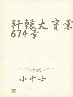 轩辕大宝袁雪妃674章