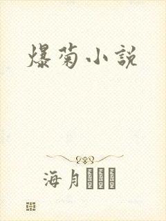 爆菊小说