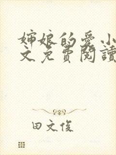 婶娘的爱小说全文免费阅读