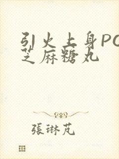 引火上身POP芝麻糖丸