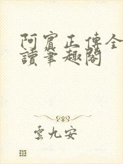 阿宾正传全文阅读笔趣阁