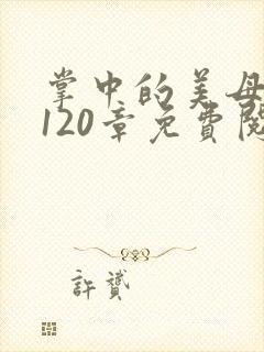 掌中的美母版主120章免费阅读