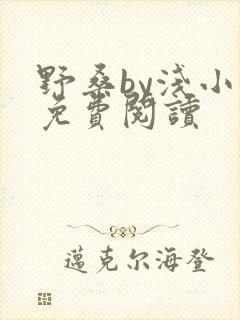 野桑by浅小说免费阅读