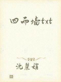 四面墙txt