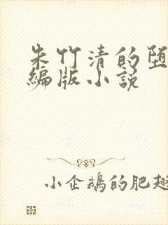 朱竹清的堕落改编版小说