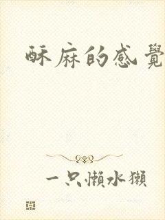 酥麻的感觉小说