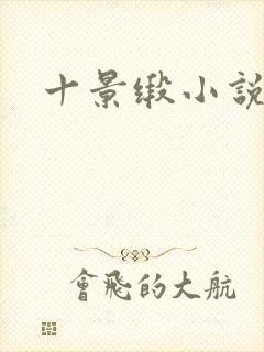 十景缎小说