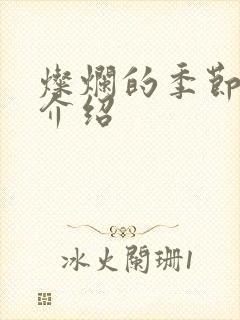 灿烂的季节剧情介绍