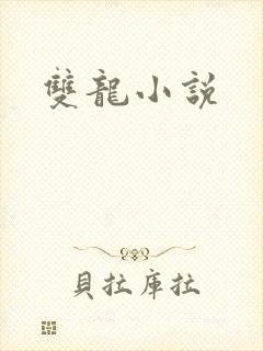 双龙小说