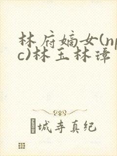 林府嫡女(npc)林玉林璋