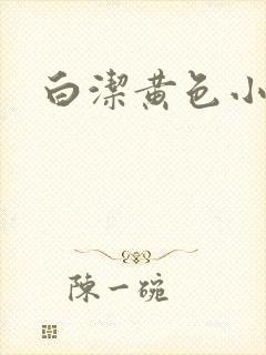 白洁黄色小说