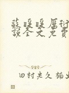 苏暖暖厉衍琛小说全文免费阅读