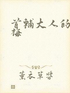 首辅大人的小青梅