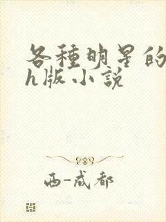 各种明星的综艺h版小说