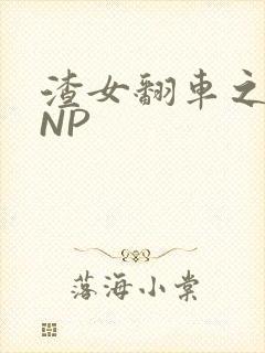 渣女翻车之后 NP