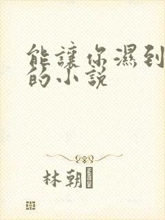 能让你湿到不行的小说