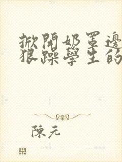 掀开奶罩边躁狠狠躁学生的小文字