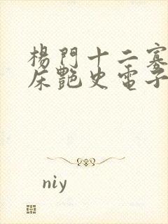 杨门十二寡妇肉床艳史电子书