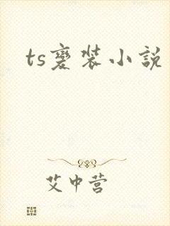 ts变装小说