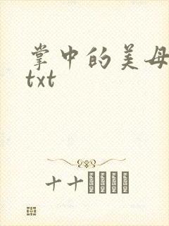 掌中的美母版主txt