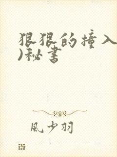 狠狠的撞入(h)秘书