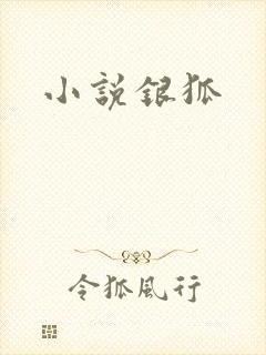 小说银狐