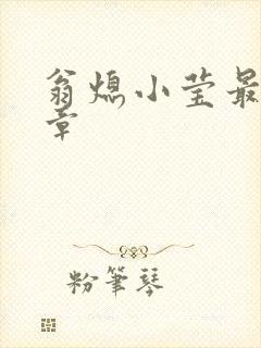 翁熄小莹最新节章