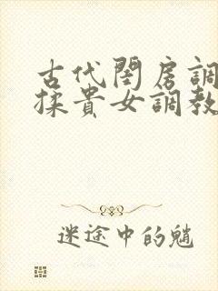 古代闺房调教h揉贵女调教记