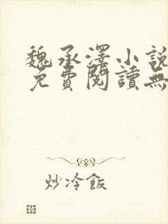 魏承泽小说全文免费阅读无弹窗笔趣