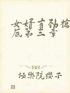 女婿有劲枪枪到底第三章