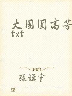 大团圆高芳小说txt