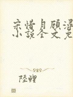 宋惜月顾浔渊的小说全文免费阅读