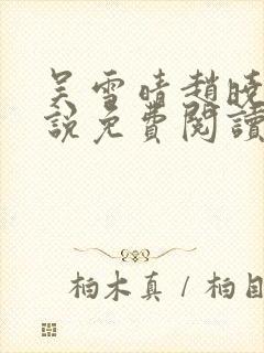 吴雪晴赵晓东小说免费阅读