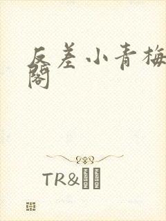 反差小青梅笔趣阁