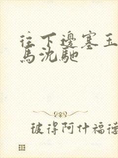 往下边塞玉器骑马沈驰