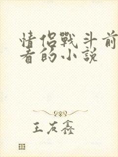 情侣战斗前适合看的小说