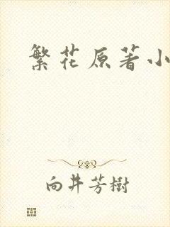 繁花原著小说