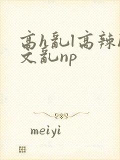 高h乱l高辣h文乱np